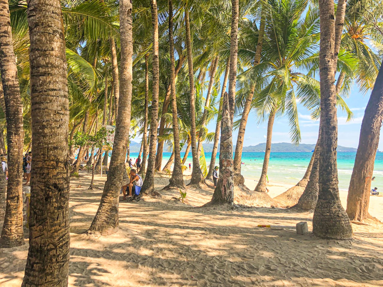 Boracay’s pristine beach with swaying palm trees - Phillippines Vacation Guide