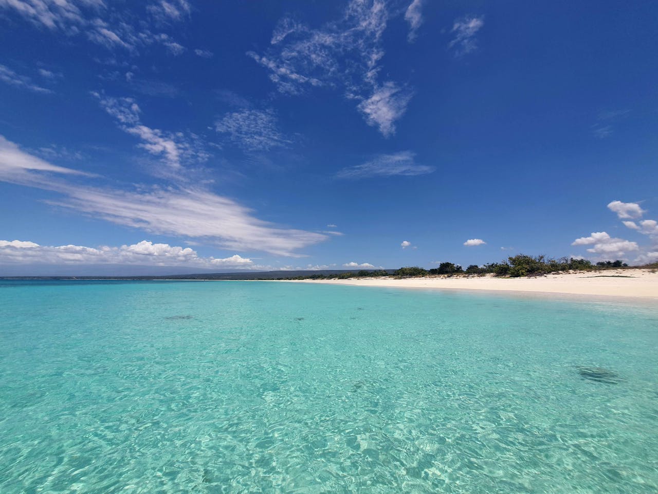 Dominican beach with turquoise waters, palm trees, and a clear blue sky