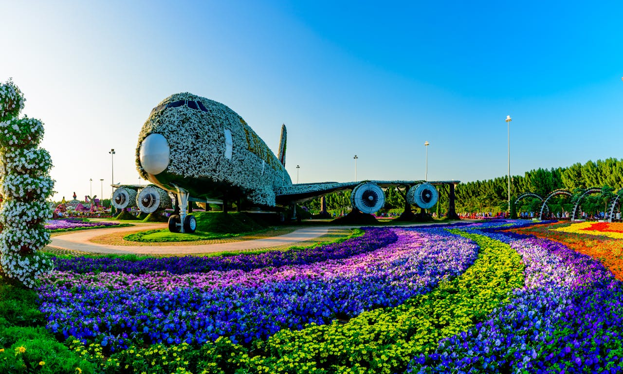 Dubai Miracle Garden 3