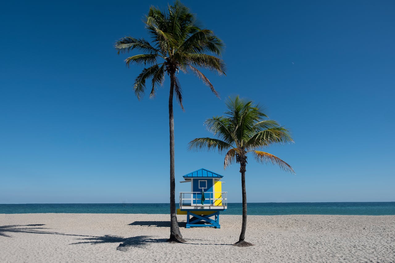 South Beach with turquoise waters, golden sand, and palm trees.