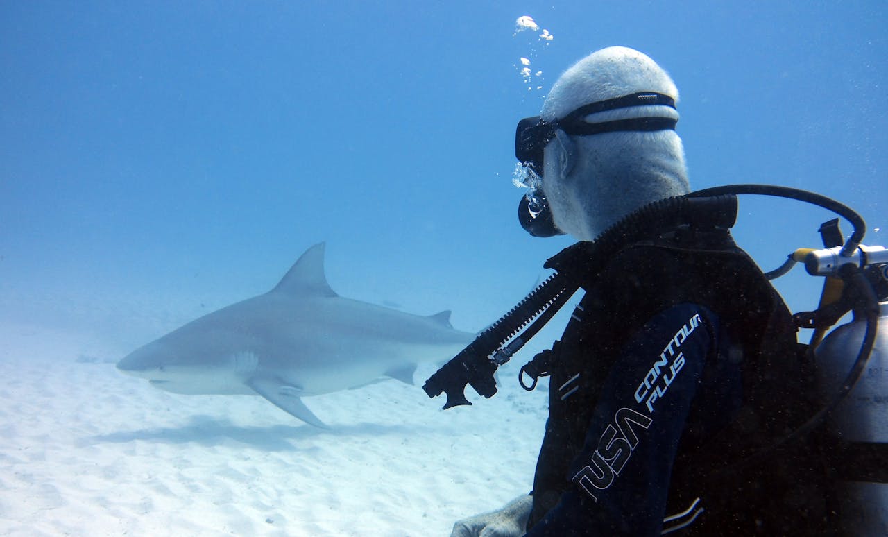 Swim with whale sharks in Oslob 2